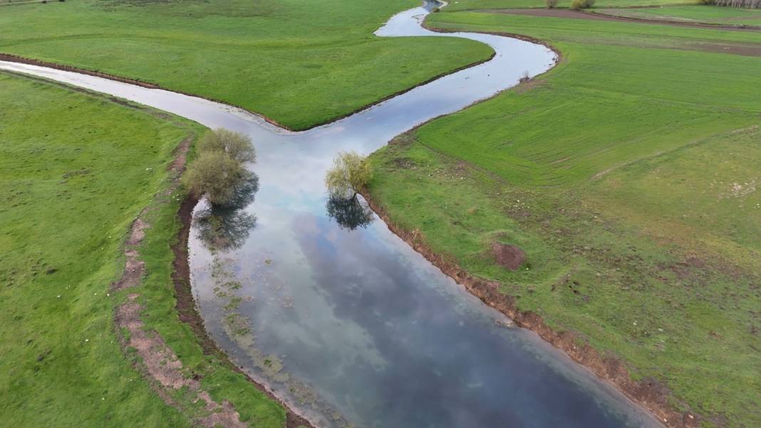 Konya'da masaldan çıkma, tablo gibi güzellik! Leylekler burada mola veriyor 7